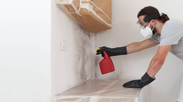 Professional Mold Testing technician working in West Newton, MA