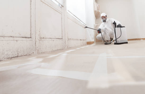 24/7 Emergency Mold Testing experts in West Newton, MA