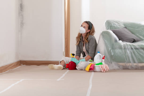 Reliable Mold Testing contractor in West Newton, MA by WQB Mold Removal